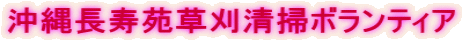 ꒷|{eBA